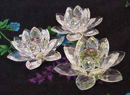 Lotus Crystals