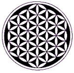 Amethyst Flower of Life  Crystal