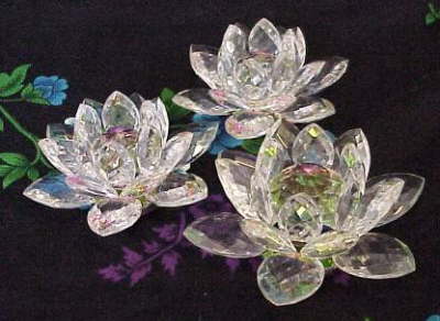 Lotus Crystals